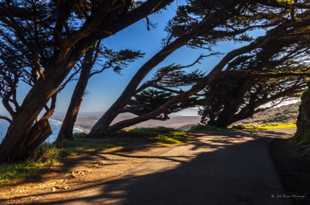 Pt. Reyes heights-6397